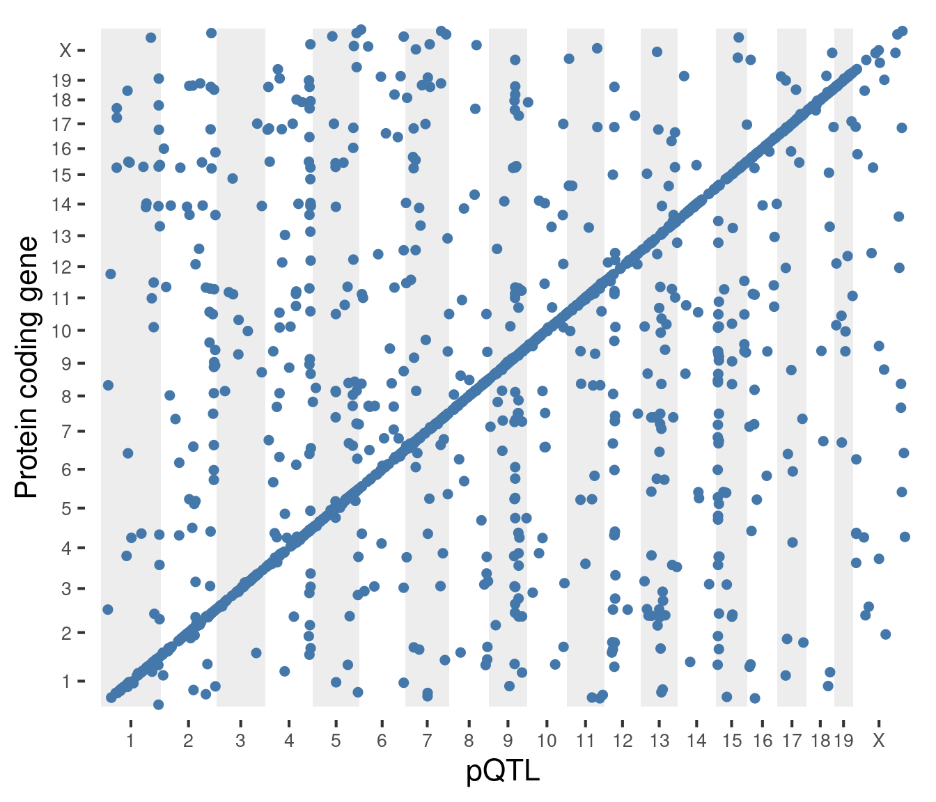 Figure 4A: Genetic mapping identifies 1,677 significant pQTL (LOD >7.5, permutation genome-wide p < 0.05, FDR = 0.06) where 1,056 are local (within 10Mb of the protein coding gene, seen on the diagonal) and 621 are distant (off the diagonal). pQTL are plotted across the genome where the x-axis shows the location of the pQTL and the y-axis shows the midpoint of the protein coding gene.
